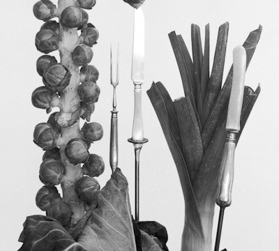 Life on stake is an analogue black and white series on medium format and printed on silvergelatin, glass and silkpaper. It showes vegetables and cuttlery on metal sticks. It tries to rise awerness of the importance to eat more vegetables and less meat in times of the climate crisis, global warming, climate change